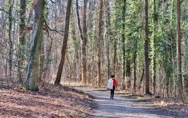 Obraz premium Würzburg, Waldspaziergang auf dem Nikolausberg