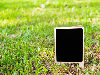 Blackboard on green grass.