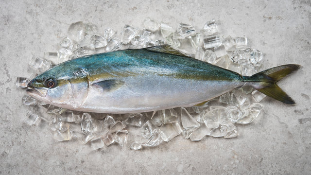 Black-banded trevally orBlack-banded trevally or Black-banded kingfish on ice,Ready for cooking,top view Black-banded kingfish isolated on white background