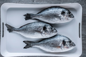 Fresh dorada fish on a white tray.