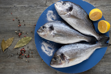 Fresh dorado fish on a blue round wooden tray. Gray wooden background.