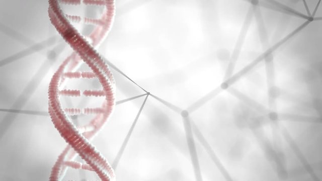 DNA the genetic material 360 frames Turntable Loop