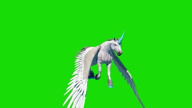Unicorn Pegasus Winged Horse Flycycle Loop Front Green Screen 3D Rendering Animation