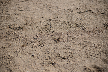 Gravel walkway in a park
