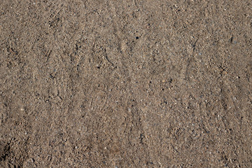 Gravel walkway in a park
