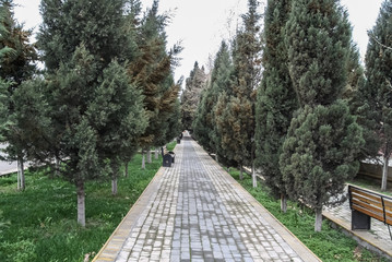 track with tiles in the Park
