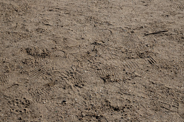 Gravel walkway in a park