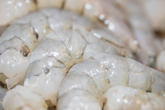 Frozen Fresh Shrimp on a white plate, on white background - Image