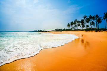 Tropical sandy beach next of Tangalle - Sri Lanka