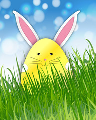 Easter Bunny on the grass