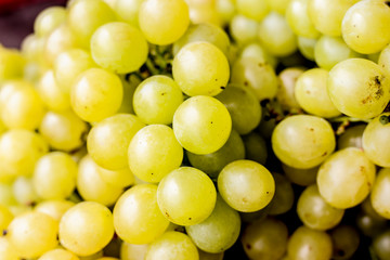 fresh white grapes