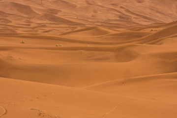 Fototapeta na wymiar The beauty of the sand dunes in the Sahara Desert in Morocco.