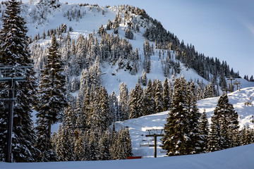 Skyline chair lift at Stevens Pass blends in with the trees on a