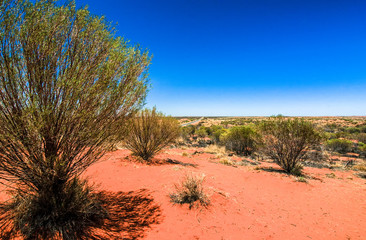 red soil, bushes and a road, outback, australia