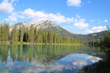 Fototapeta na wymiar Summer Reflections On The Bow River, Banff National Park, Alberta