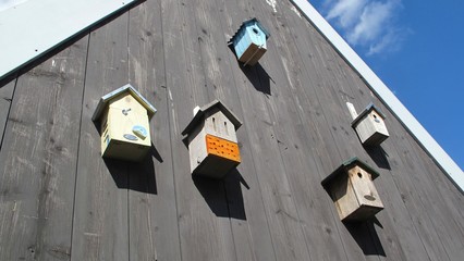 Bunte Vogelhäuser an Hauswand