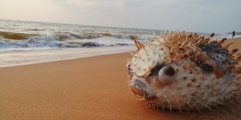Evening beach views