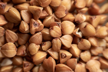Obraz premium background of buckwheat close-up