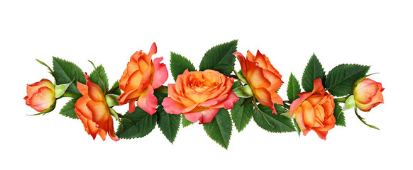Orange rose flowers in a line arrangement