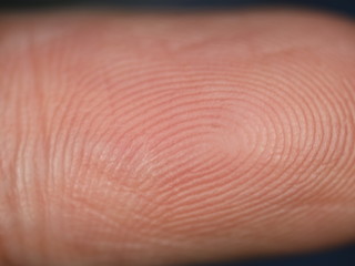 fingerprint