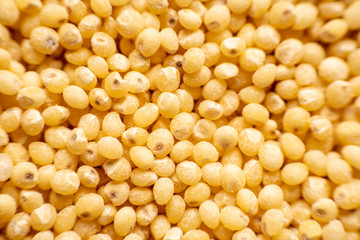 background of millet grain closeup