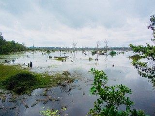 Travel Photography - beautiful nature