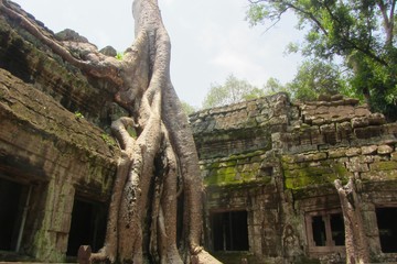 Travel Photography - beautiful nature