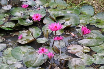 Travel Photography - beautiful nature