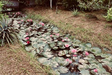 Travel Photography - beautiful nature