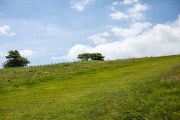 Fototapeta premium Beachy Head bei Eastbourne England