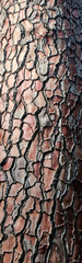 Brown wooden texture, tree park