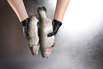 Pstrąg . Świeża ryba. Kobieta trzyma w dłoniach rybę  © foodandcook