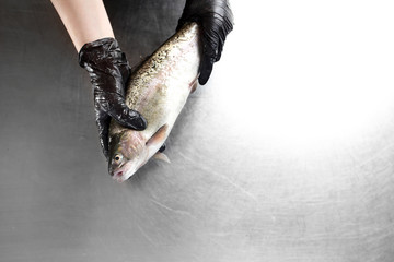Pstrąg . Świeża ryba. Kobieta trzyma w dłoniach rybę  © foodandcook