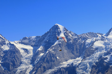 Scenic paragliding flight in front of the Eiger, Mönch and  Jungfraujoch massiv in the Bernese Oberland