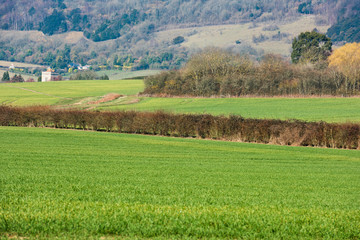 Trottiscliffe Church and the north downs near Maidstone in Kent, England