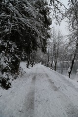 gorgeous winter photos.savsat/artvin/turkey