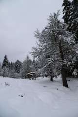 gorgeous winter photos.savsat/artvin/turkey