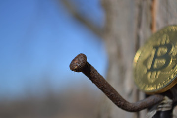  Electronic currency coin