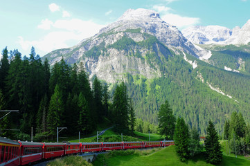 The Unesco world heritage Bernina train curving through the swiss alps