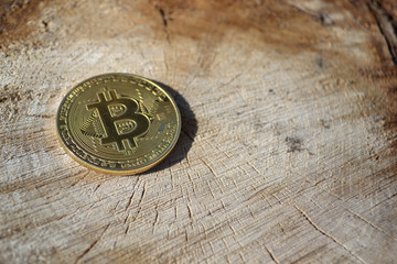  Electronic currency coin