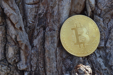  Electronic currency coin