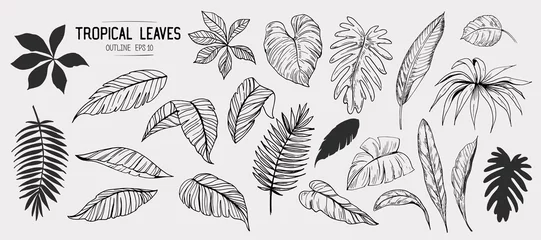 Fototapeten Tropical leaves. Set of hand drawn illustration. Vector. Isolated © aksol