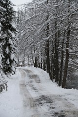 gorgeous winter photos.savsat/artvin/turkey