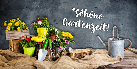 Gartenhintergrund Blumen Garten 