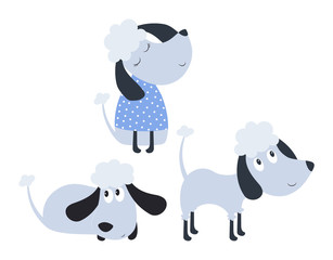Obraz premium set with cute poodles