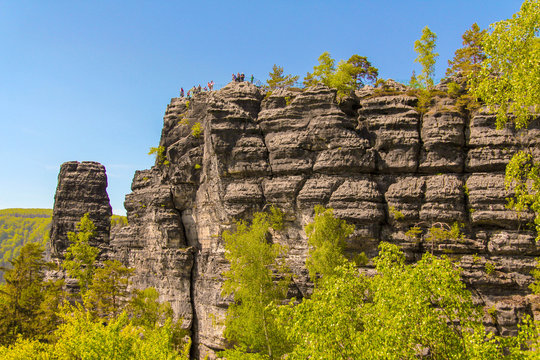 Sandstone rock tower in the summer valley of national park Bohemian Switzerland