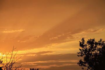 golden cloud