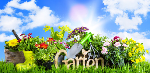 Garten in der Natur Hintergrund banner 