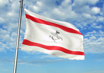 Fototapeta na wymiar Tuscany region of Italy flag waving sky background 3D illustration