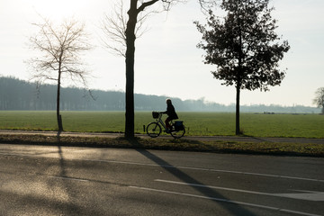 A silhouette of a cyclist with trees in the morning sun with mist and grassland
